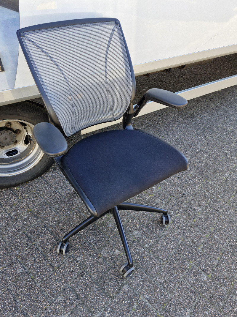 Humanscale Diffrient World Chair mesh